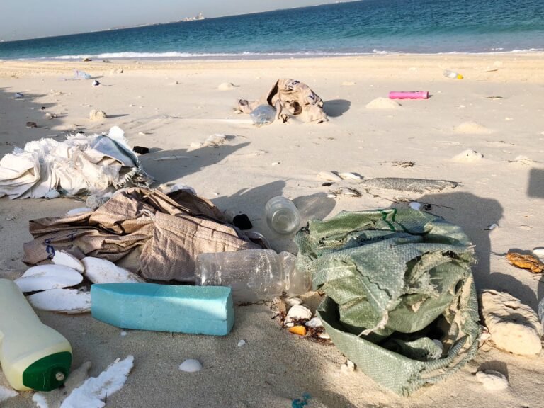 plastic-waste-washed-of-on-the-beach-2021-08-30-19-16-12-utc-768x576